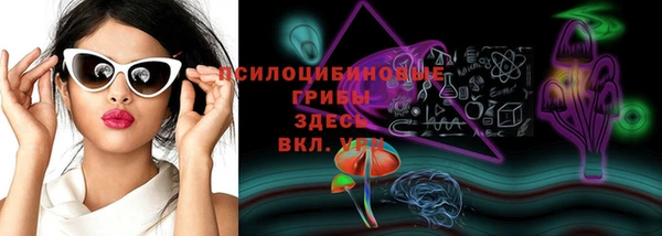 ГАЛЛЮЦИНОГЕННЫЕ ГРИБЫ Арсеньев