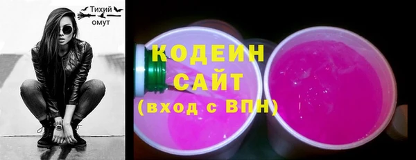 ГАЛЛЮЦИНОГЕННЫЕ ГРИБЫ Арсеньев