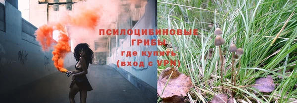 ECSTASY Аркадак