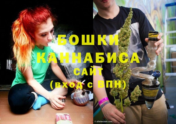 ГАЛЛЮЦИНОГЕННЫЕ ГРИБЫ Арсеньев