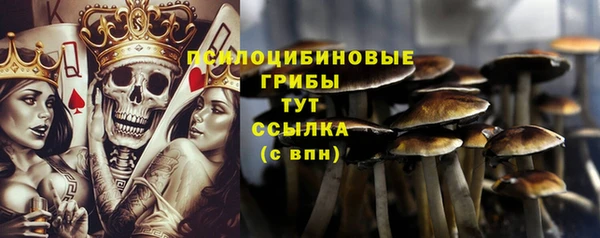 ECSTASY Аркадак