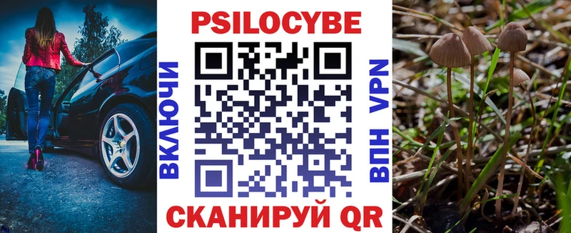 blacksprut как зайти  магазин продажи наркотиков  Приволжск  Галлюциногенные грибы Psilocybe 